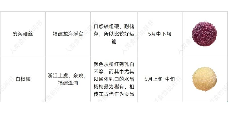 吃个杨梅，都能轻轻松松学到一卡车的知识！这就是我喜欢小红书其中一大原因🤣🤣🤣 #无用但有趣的冷知识吃个杨梅，都能轻轻松松学到一卡车的知识！这就是我喜欢小红书其中一大原因🤣🤣🤣 #无用但有趣的冷知识