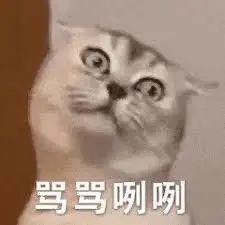 【讨厌原生相机自拍照？这不怪你】自拍能够带来快乐，但也可能引发「容貌焦虑」