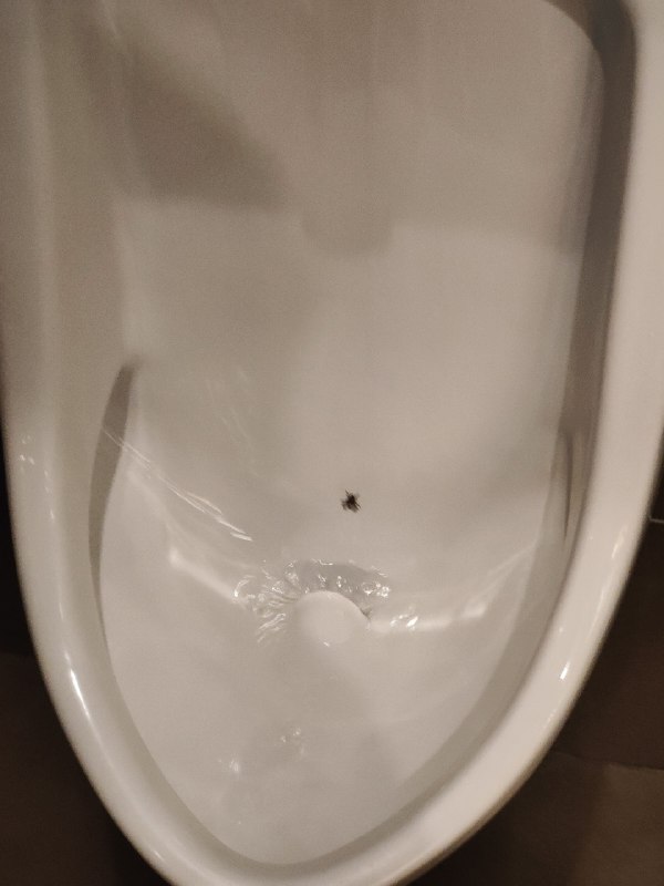 新加坡机场里的男厕所，搞个苍蝇图引导你对准 #大产品小细节