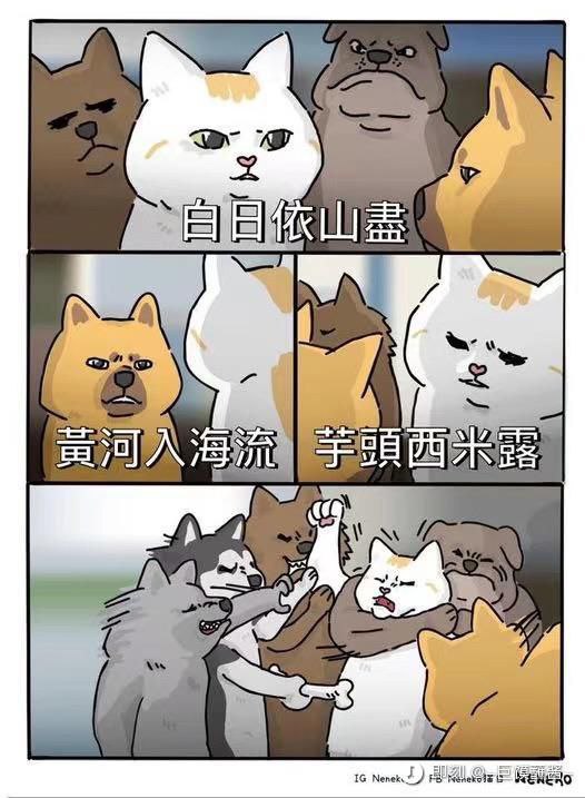 生病期间吃不了多少东西，于是选择喝热量高的要死的奶茶 #无用但有趣的冷知识