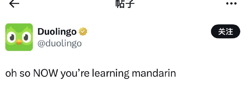 为什么是小红书，不是其他的呢，其实没那么多阴谋论