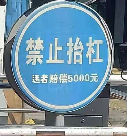 如何形容我国的钢铁产量孙悟空的如意金箍棒13500斤，我国2023年钢铁产量(不含瞒报产量)，可以生产将近一亿五千一百万根！by @得得地  #无用但有趣的冷知识