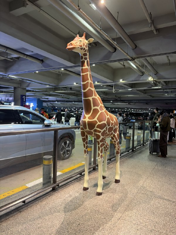 冷知识，日本人管这东西叫麒麟……by @Jeddah  #无用但有趣的冷知识