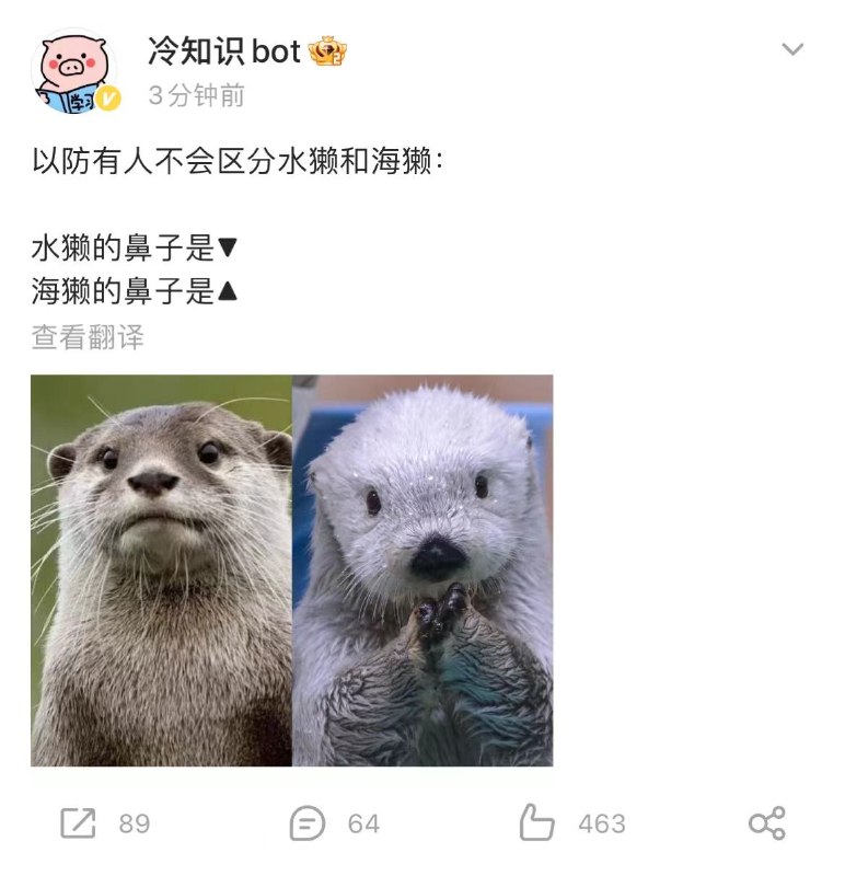 冷知识 #无用但有趣的冷知识