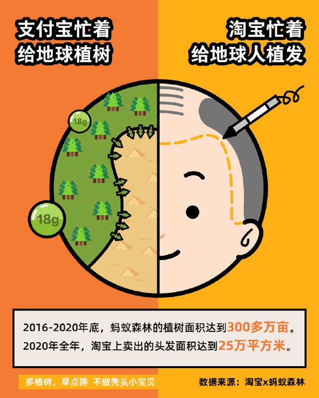 植树节，跟大家分享一个真正的好消息