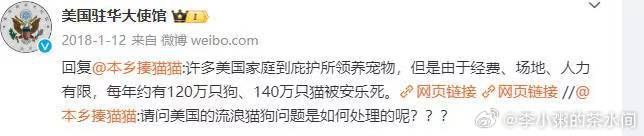 流浪狗的问题，是结构性矛盾，必须有人出来做“坏人”，而那些城市管理者、学校保安就扮演了“坏人”角色