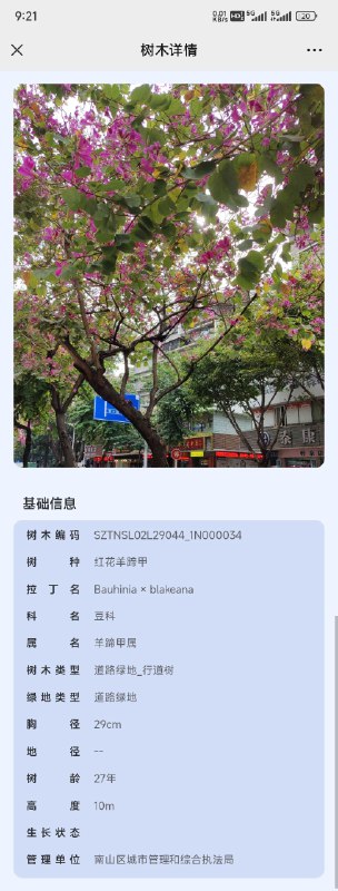 扫了路边行道树上的二维码，数据很丰富