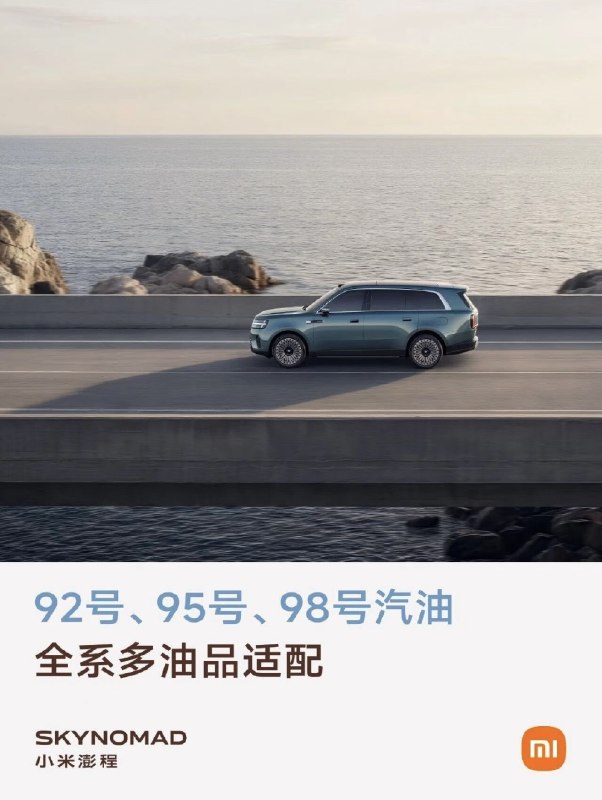 卧龙凤雏，得一可安天下，新能源行业却又何德何能，可以二者兼得